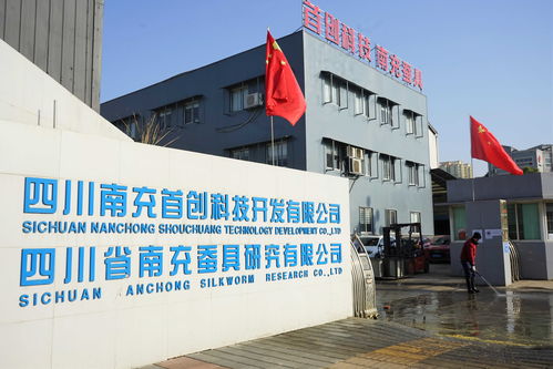 技术创新赋能高坪工业高质量发展