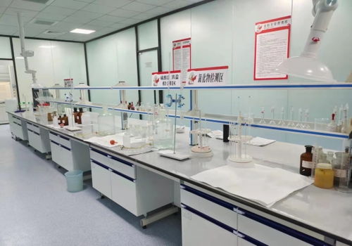 河北邢台 “小巨人”成香饽饽，领跑产业技术开发加速度