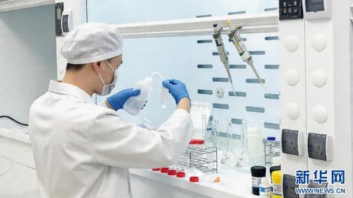 聚焦高质量发展丨不止好看 洛阳牡丹撑起黄金产业链